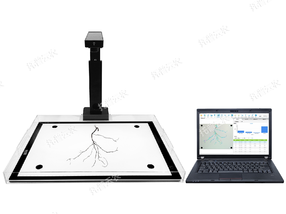 根系圖像分析儀：一款拍照式研究植物根系生長(zhǎng)的專業(yè)儀器