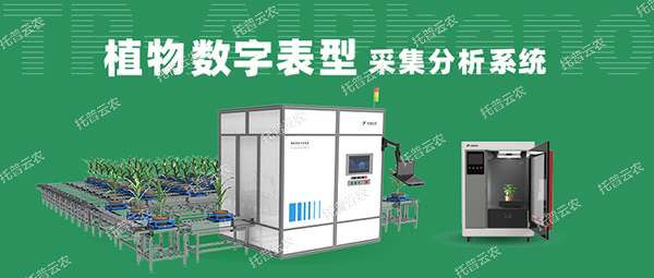 植物數字表型采集分析系統(tǒng) ——高通量、高精度，植物表型測量理想之選！